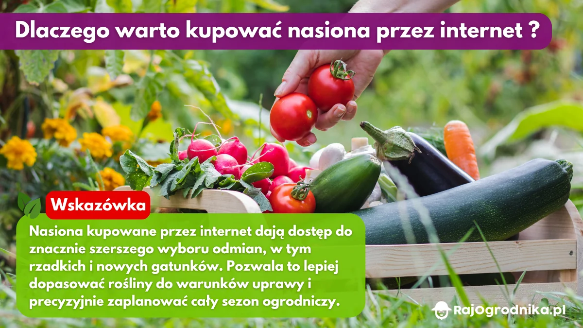 Dlaczego-warto-kupować-nasiona-przez-internet-blog-sklep-rajogrodnika